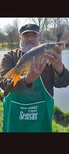 Mirror Carp