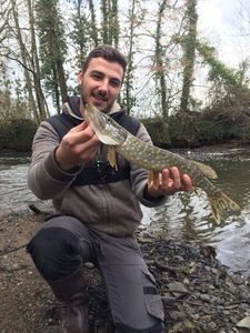 Northern Pike
