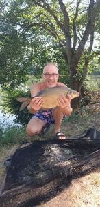 Common Bream