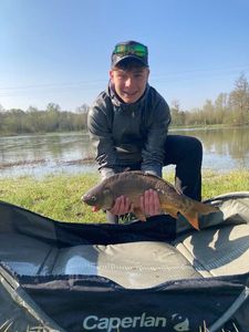 Mirror Carp