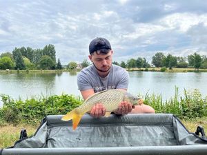 Common Carp