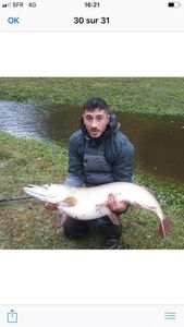 Northern Pike