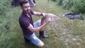 Common Carp