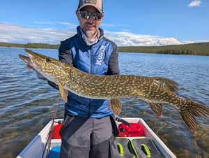 Northern Pike
