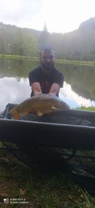 Mirror Carp