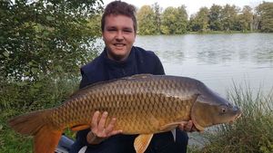 Common Carp