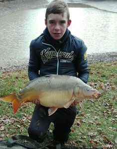 Mirror Carp