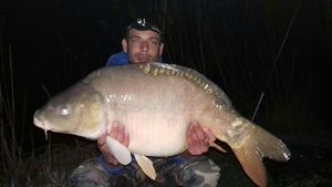Mirror Carp