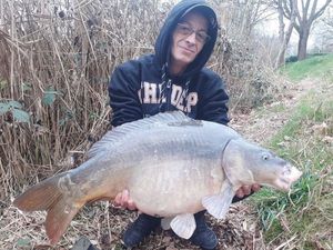 Mirror Carp
