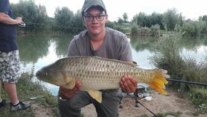 Common Carp