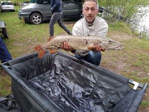 Northern Pike