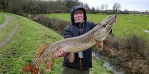 Northern Pike
