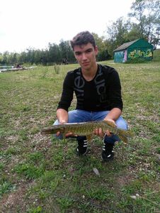 Chain Pickerel