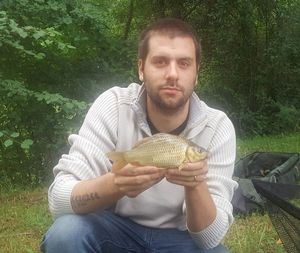 Common Carp
