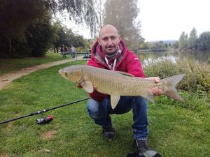 Silver Carp
