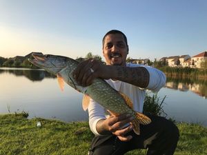 Northern Pike