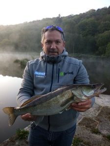 Zander
