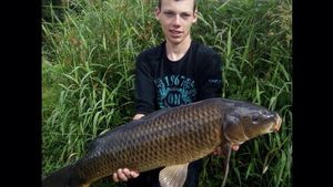 Common Carp