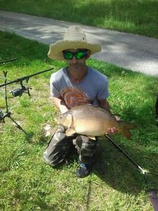 Mirror Carp