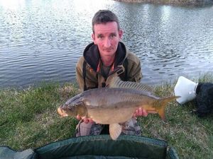 Mirror Carp