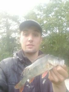 European Perch