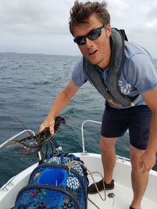 European Lobster