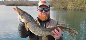 Northern Pike
