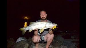 Common Snook
