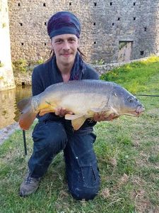 Mirror Carp