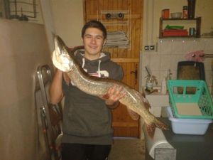 Northern Pike