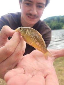 Leather Carp