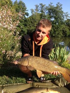 Common Carp
