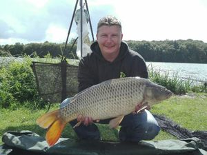 Common Carp
