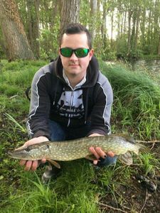 Northern Pike