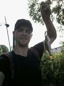 European Perch