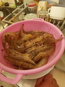 Gambas