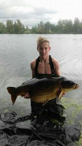 Common Carp