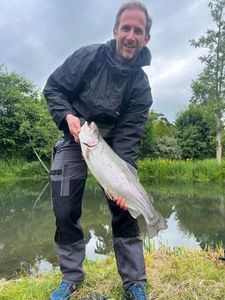 Rainbow Trout