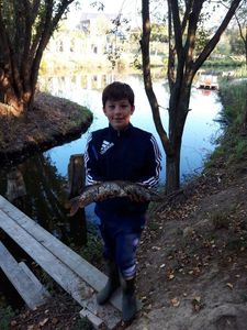 Northern Pike