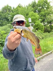 Black Bullhead