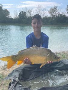 Mirror Carp