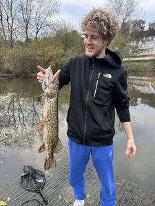 Northern Pike
