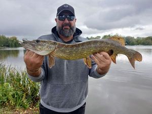 Northern Pike
