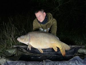 Mirror Carp