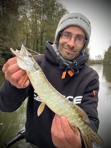 Northern Pike
