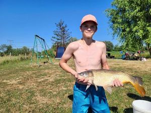 Common Carp