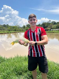 Common Carp