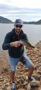 Largemouth Bass