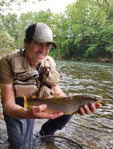Rainbow Trout