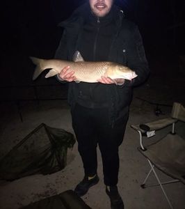 Barbel